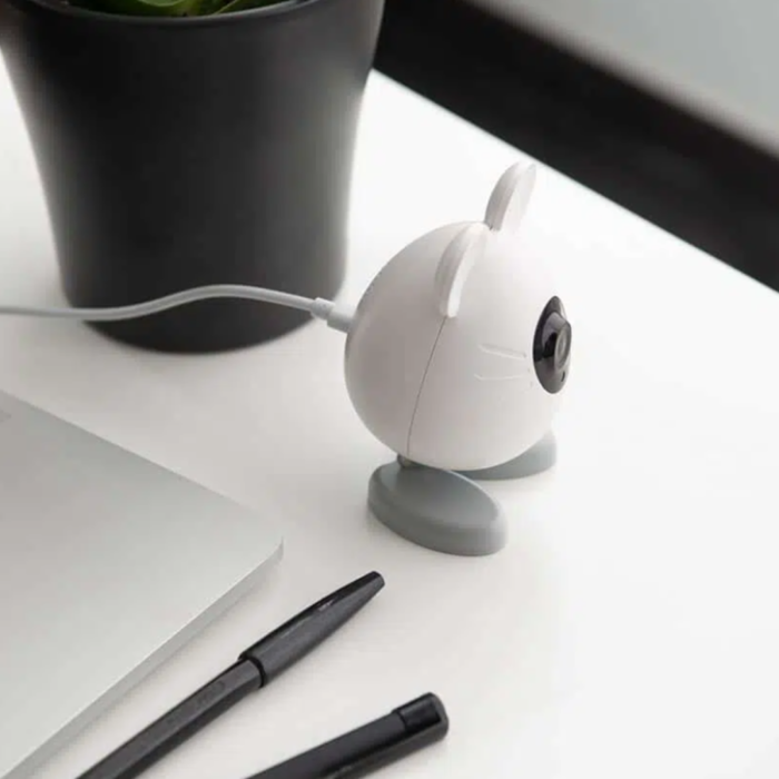 Juhtmevaba kassikaamera Smart Mouse Pixi